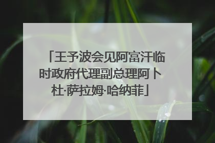 王予波会见阿富汗临时政府代理副总理阿卜杜·萨拉姆·哈纳菲