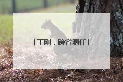 王刚，跨省调任