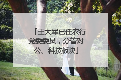 王大军已任农行党委委员，分管对公、科技板块