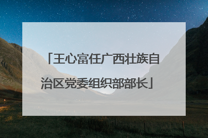 王心富任广西壮族自治区党委组织部部长