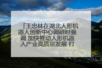 王忠林在湖北人形机器人创新中心调研时强调 加快推动人形机器人产业高质量发展 打造具有全国影响力的研发创新基地