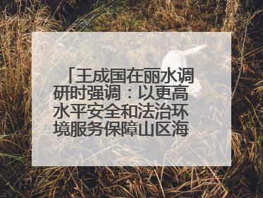 王成国在丽水调研时强调：以更高水平安全和法治环境服务保障山区海岛县高质量发展
