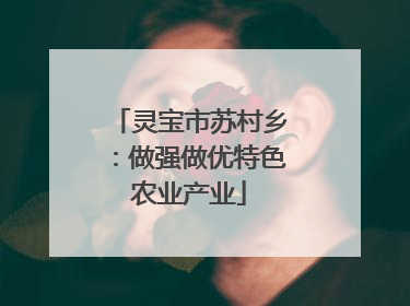 灵宝市苏村乡：做强做优特色农业产业