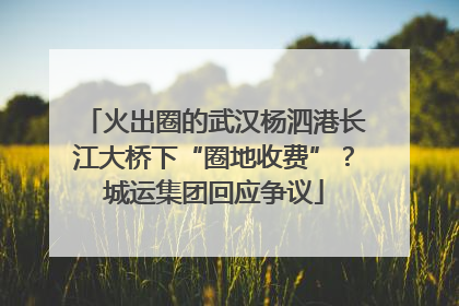 火出圈的武汉杨泗港长江大桥下“圈地收费”？城运集团回应争议