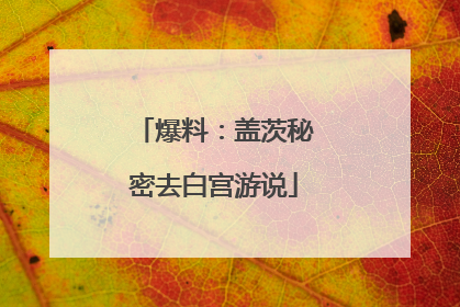 爆料：盖茨秘密去白宫游说