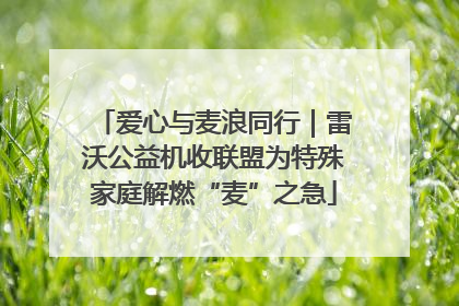 爱心与麦浪同行｜雷沃公益机收联盟为特殊家庭解燃“麦”之急