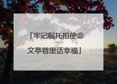 牢记嘱托担使命 文亭巷里话幸福