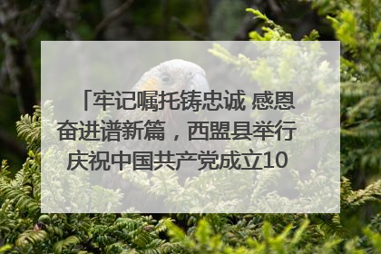 牢记嘱托铸忠诚 感恩奋进谱新篇，西盟县举行庆祝中国共产党成立104周年文艺晚会