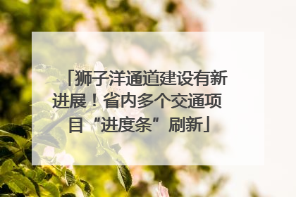 狮子洋通道建设有新进展！省内多个交通项目“进度条”刷新