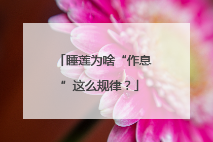 睡莲为啥“作息”这么规律？