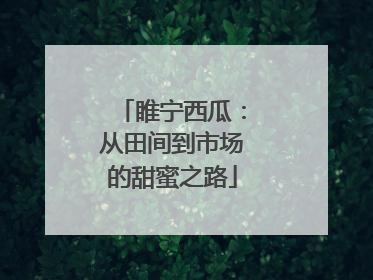 睢宁西瓜：从田间到市场的甜蜜之路