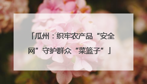 瓜州：织牢农产品“安全网”守护群众“菜篮子”