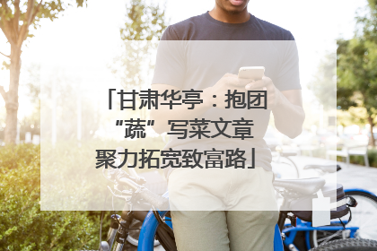 甘肃华亭：抱团“蔬”写菜文章 聚力拓宽致富路