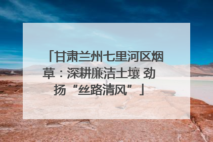 甘肃兰州七里河区烟草：深耕廉洁土壤 劲扬“丝路清风”