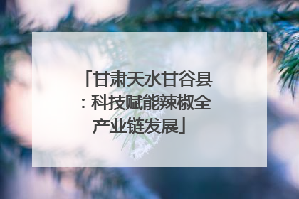甘肃天水甘谷县：科技赋能辣椒全产业链发展