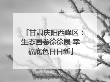 甘肃庆阳西峰区：生态画卷徐徐展 幸福底色日日新