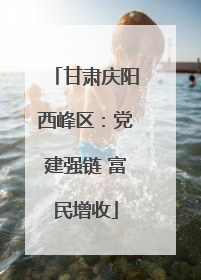 甘肃庆阳西峰区：党建强链 富民增收