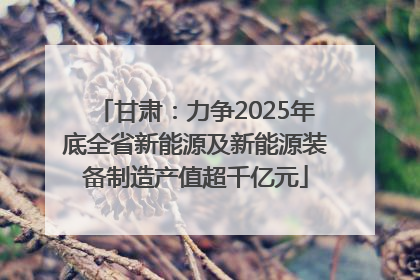 甘肃：力争2025年底全省新能源及新能源装备制造产值超千亿元