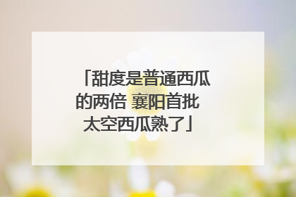 甜度是普通西瓜的两倍 襄阳首批太空西瓜熟了