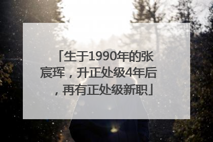 生于1990年的张宸珲，升正处级4年后，再有正处级新职