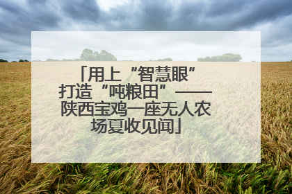 用上“智慧眼” 打造“吨粮田”——陕西宝鸡一座无人农场夏收见闻