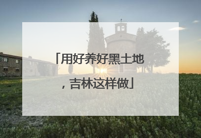 用好养好黑土地，吉林这样做