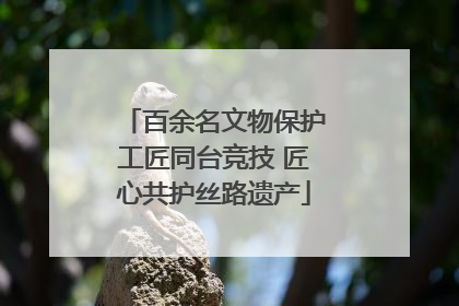 百余名文物保护工匠同台竞技 匠心共护丝路遗产