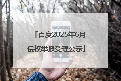 百度2025年6月侵权举报受理公示