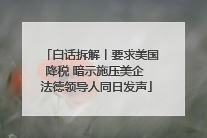 白话拆解丨要求美国降税 暗示施压美企 法德领导人同日发声