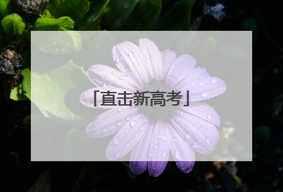 直击新高考