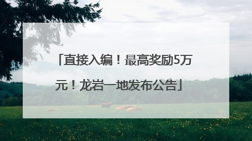 直接入编！最高奖励5万元！龙岩一地发布公告