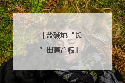 盐碱地“长”出高产粮
