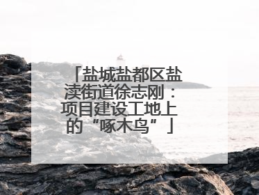 盐城盐都区盐渎街道徐志刚：项目建设工地上的“啄木鸟”