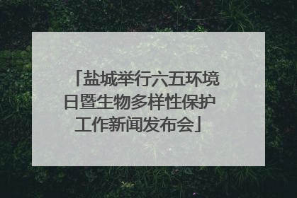 盐城举行六五环境日暨生物多样性保护工作新闻发布会