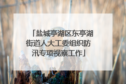 盐城亭湖区东亭湖街道人大工委组织防汛专项视察工作