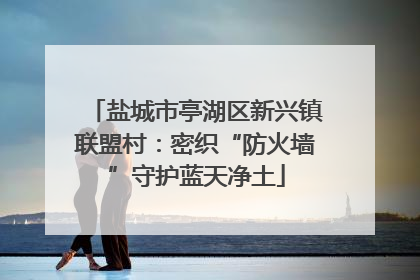 盐城市亭湖区新兴镇联盟村：密织“防火墙”守护蓝天净土