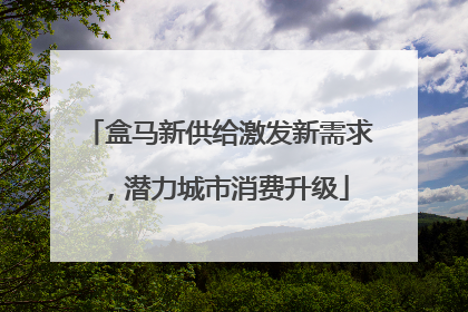 盒马新供给激发新需求，潜力城市消费升级