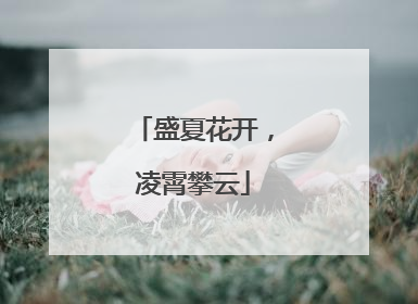 盛夏花开，凌霄攀云