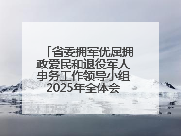 省委拥军优属拥政爱民和退役军人事务工作领导小组2025年全体会议召开