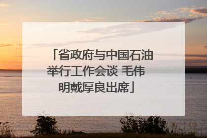 省政府与中国石油举行工作会谈 毛伟明戴厚良出席