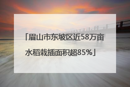 眉山市东坡区近58万亩水稻栽插面积超85%