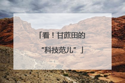 看！甘蔗田的“科技范儿”