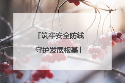 筑牢安全防线 守护发展根基