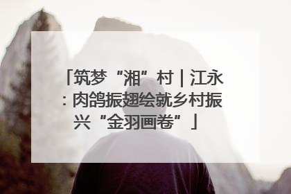 筑梦“湘”村｜江永：肉鸽振翅绘就乡村振兴“金羽画卷”