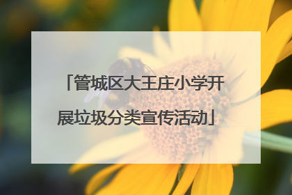 管城区大王庄小学开展垃圾分类宣传活动