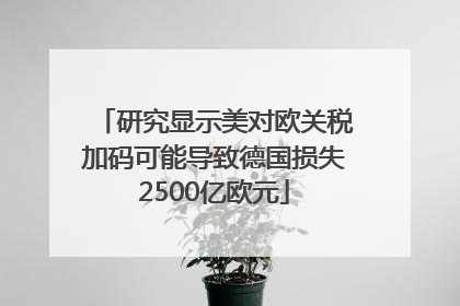 研究显示美对欧关税加码可能导致德国损失2500亿欧元