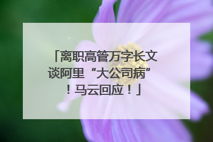 离职高管万字长文谈阿里“大公司病”！马云回应！