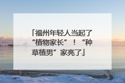福州年轻人当起了“植物家长”！“种草植男”家亮了