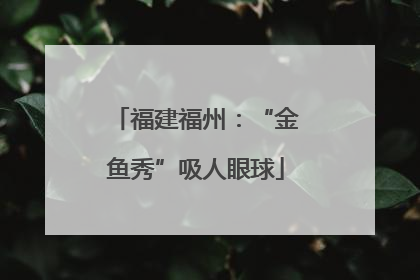 福建福州：“金鱼秀”吸人眼球