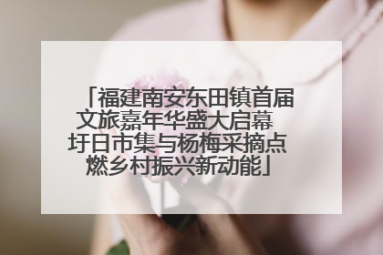 福建南安东田镇首届文旅嘉年华盛大启幕 圩日市集与杨梅采摘点燃乡村振兴新动能